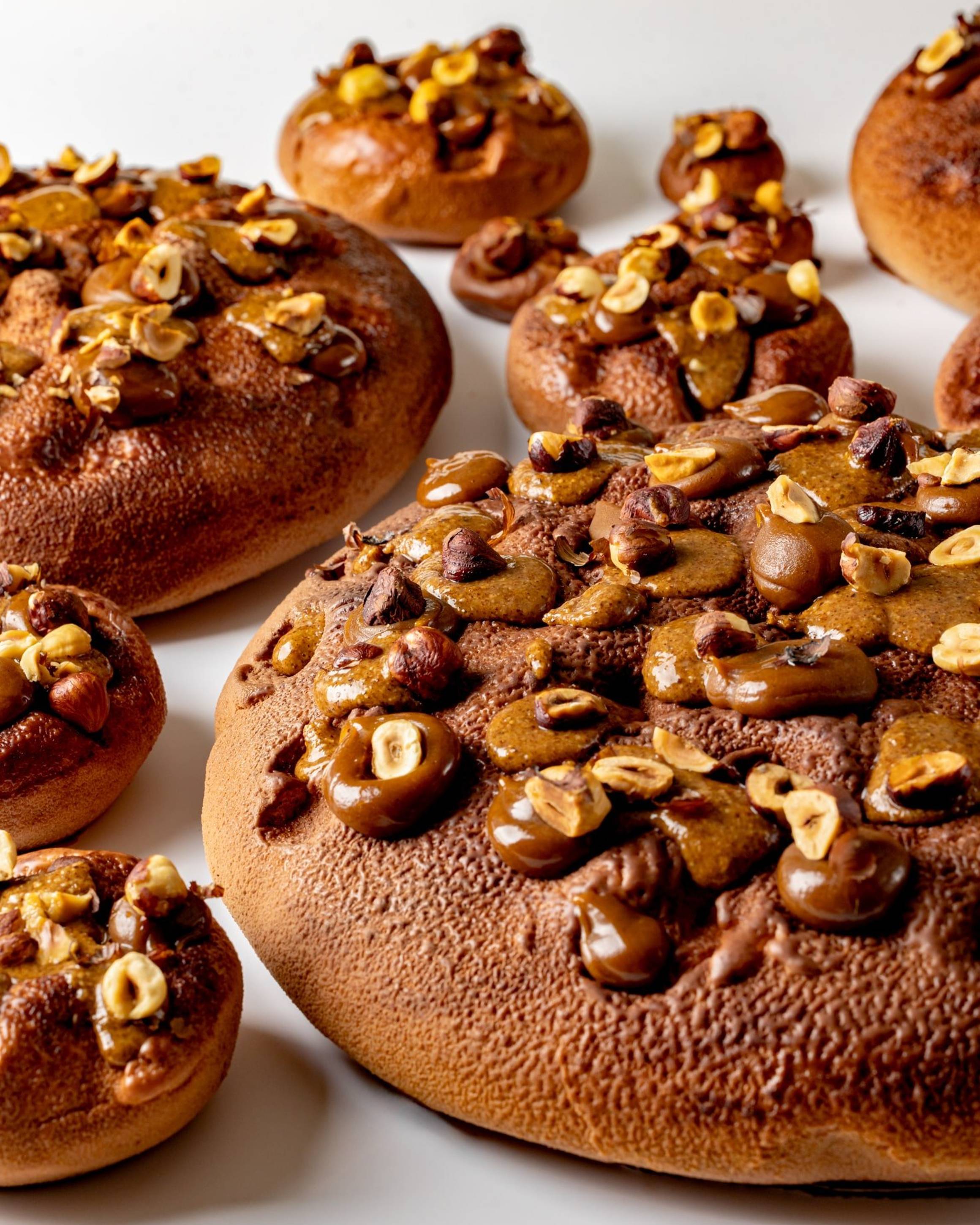 A close-up view of richly textured pastries adorned with caramelized hazelnuts and glossy chocolate accents, creating a warm, indulgent appeal on a smooth white surface.