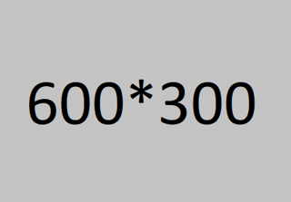 600*300